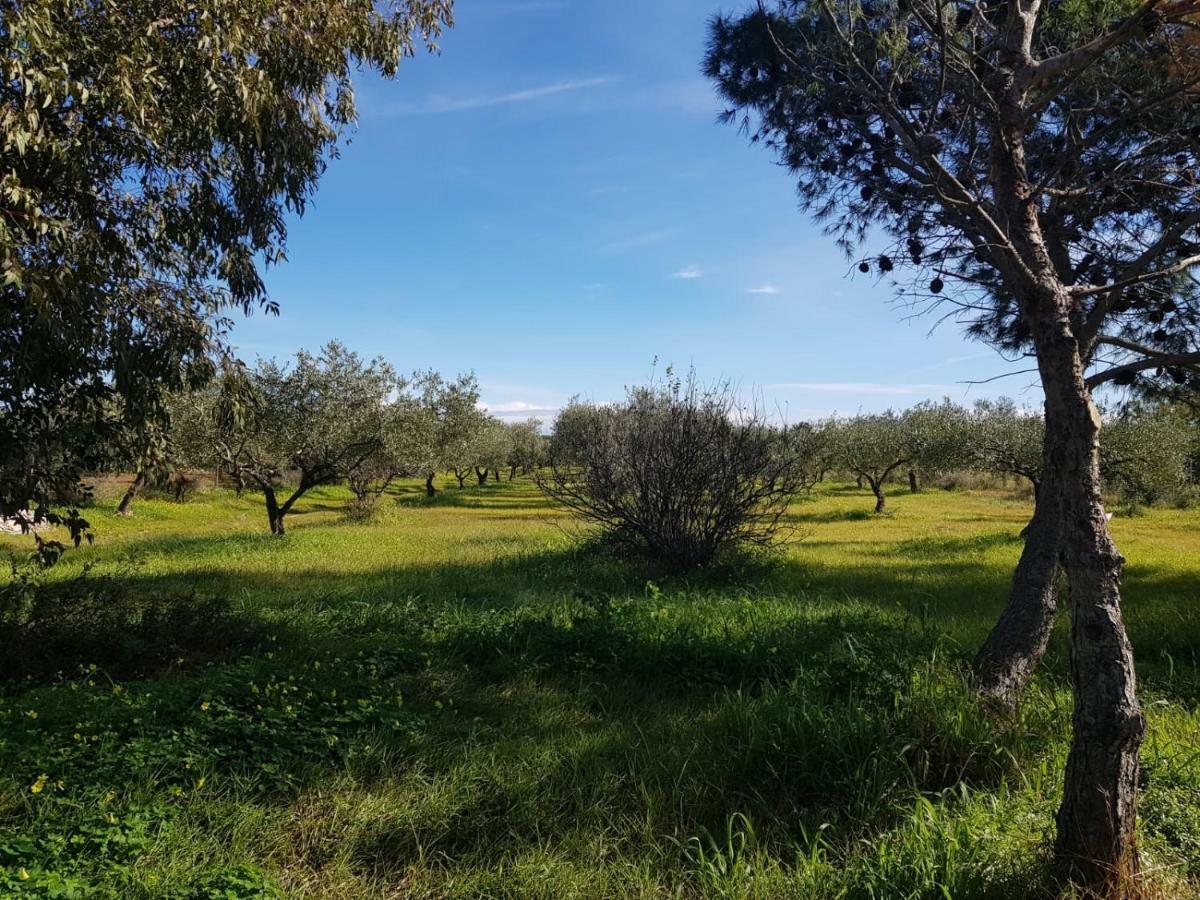 Mimosa Bilocale كالا ليبيروتو المظهر الخارجي الصورة
