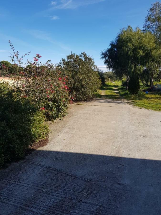 Mimosa Bilocale كالا ليبيروتو المظهر الخارجي الصورة