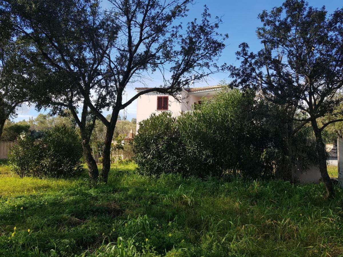 Mimosa Bilocale كالا ليبيروتو المظهر الخارجي الصورة