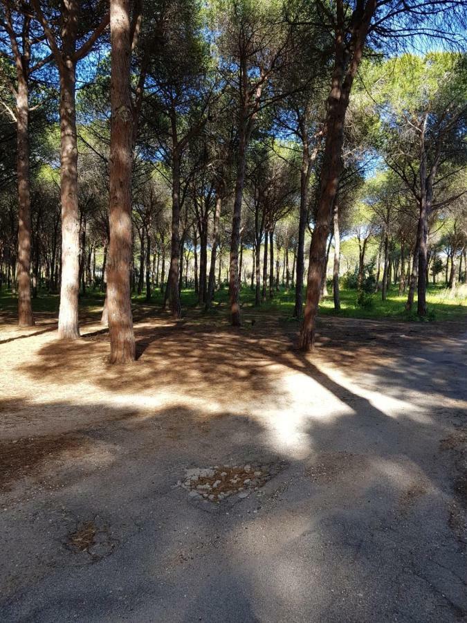 Mimosa Bilocale كالا ليبيروتو المظهر الخارجي الصورة