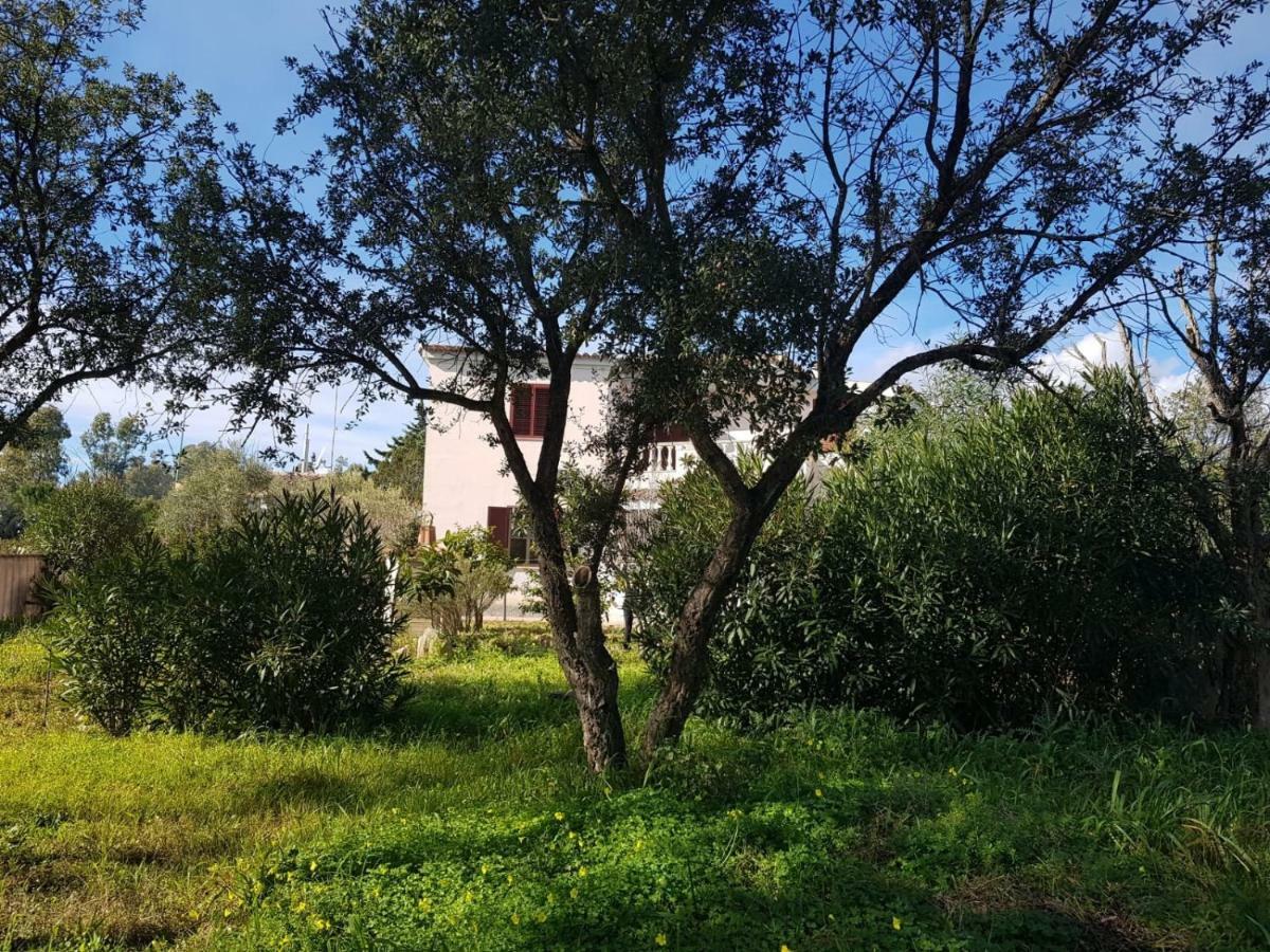 Mimosa Bilocale كالا ليبيروتو المظهر الخارجي الصورة