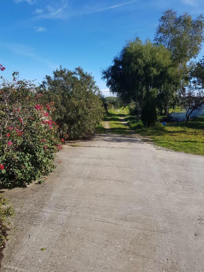 Mimosa Bilocale كالا ليبيروتو المظهر الخارجي الصورة